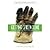 Getting Green Done: Hard Truths from the Front Lines of the Sustainability Revolution by Schendler, Auden [PublicAffairs, 2010] (Paperback) [Paperback]