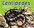 Centipedes (Bugs, Bugs, Bugs!)