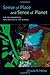Sense of Place and Sense of Planet: The Environmental Imagination of the Global by Ursula K Heise (2008-09-29)