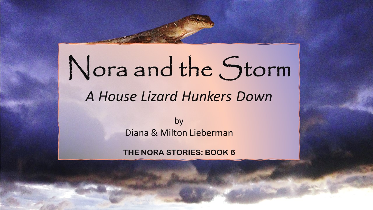 Nora and the Storm: A House Lizard Hunkers Down (The Nora Stories #6)