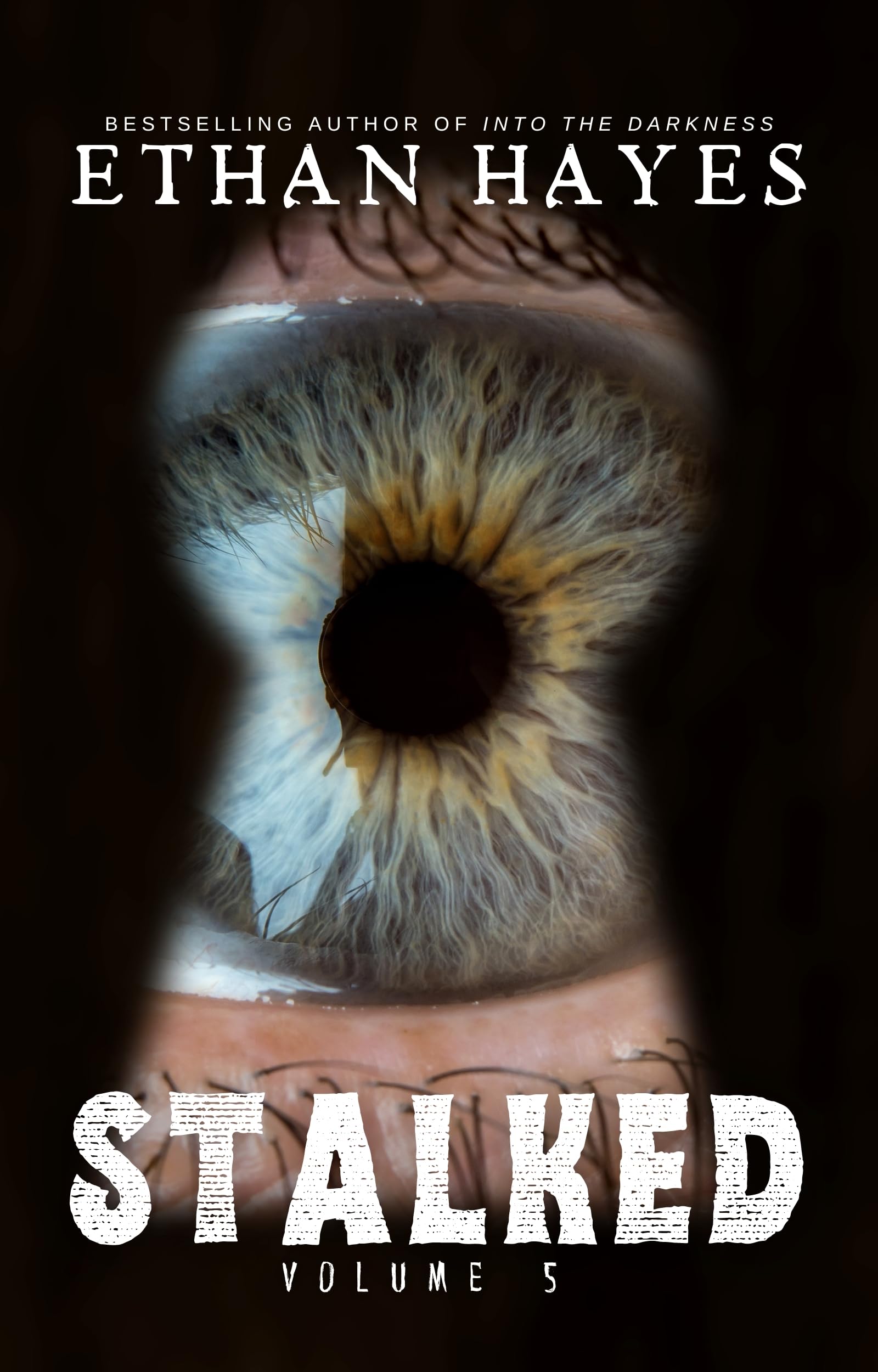 Stalked: Terrifying True Crime Stories: Volume 5 (Kindle Edition)