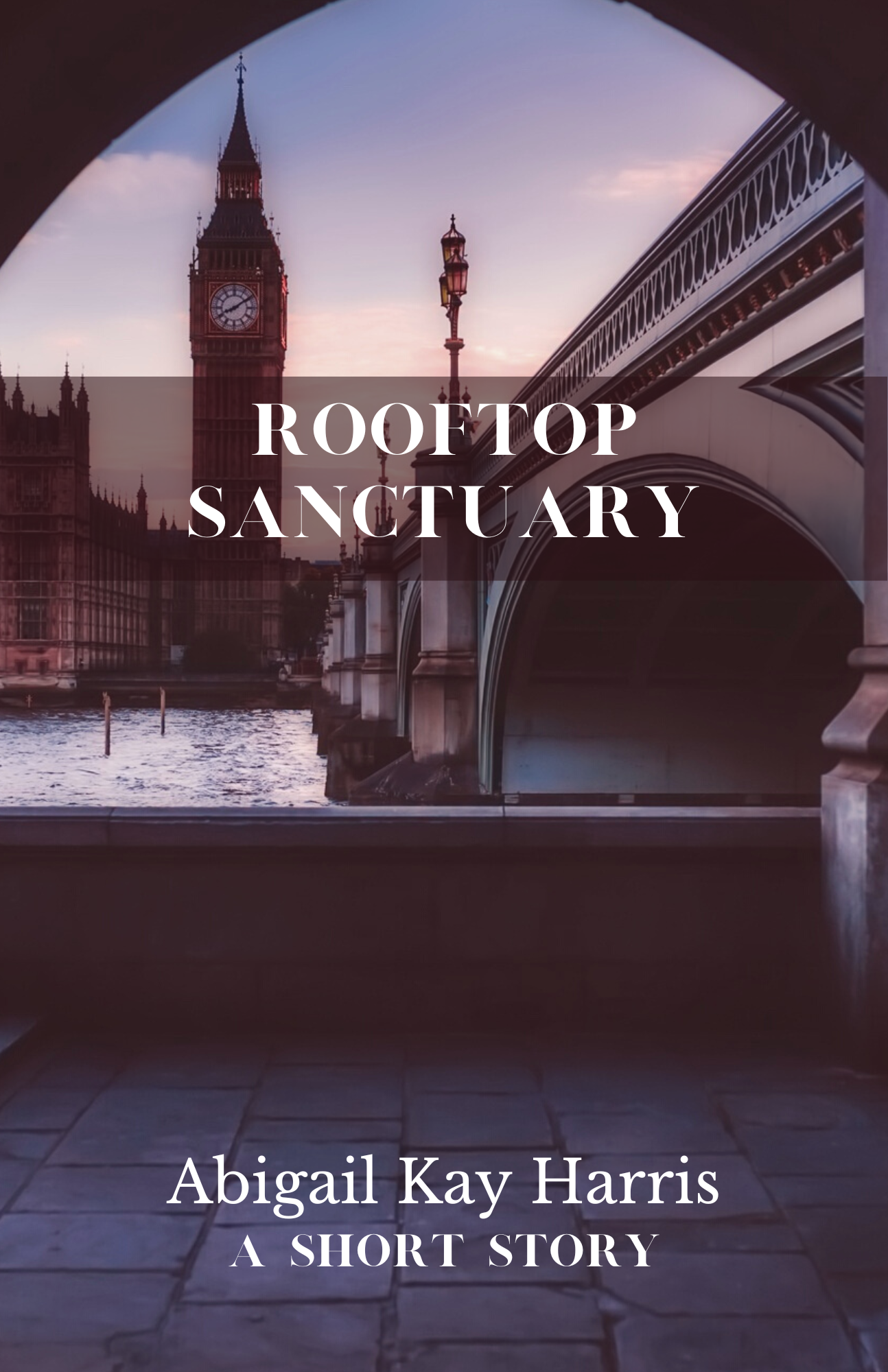 Rooftop Sanctuary