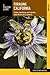 Finding, Identifying, and Preparing Edible Wild Foods in California Foraging California (Paperback) - Common