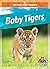 Baby Tigers
