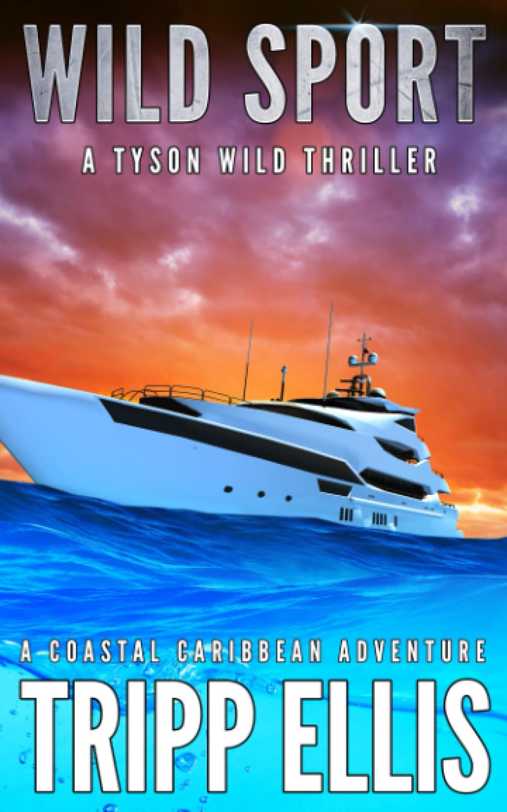 Wild Sport (Tyson Wild Thriller #58)