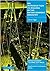 An Introduction to Rigging in the Entertainment Industry (Applications & Techniques) by Chris Higgs (27-May-2002) Paperback