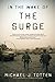 In the Wake of the Surge by...
