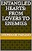 Entangled Hearts: From Lovers to Enemies