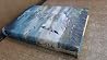 At the Turn of the Tide: A Book of Wild Birds At the Turn of the Tide: A Book of Wild Birds