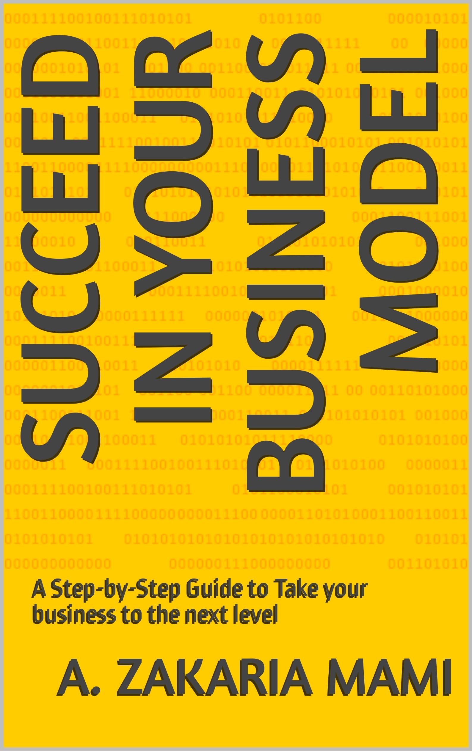 how to Succeed in your Business Model: A Step-by-Step Guide to Take your business to the next level (ebook)