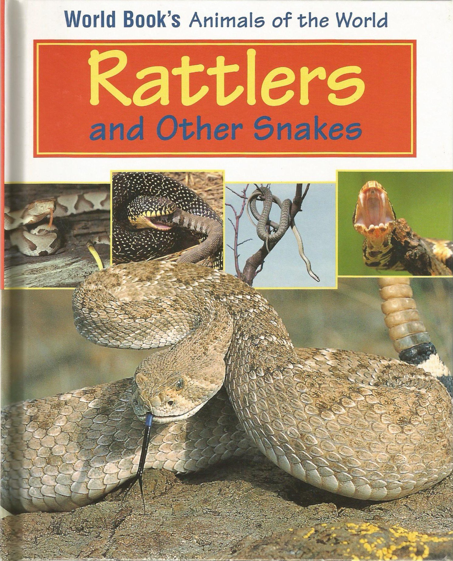 Rattlers and Other Snakes (World Book's Animals of the World)