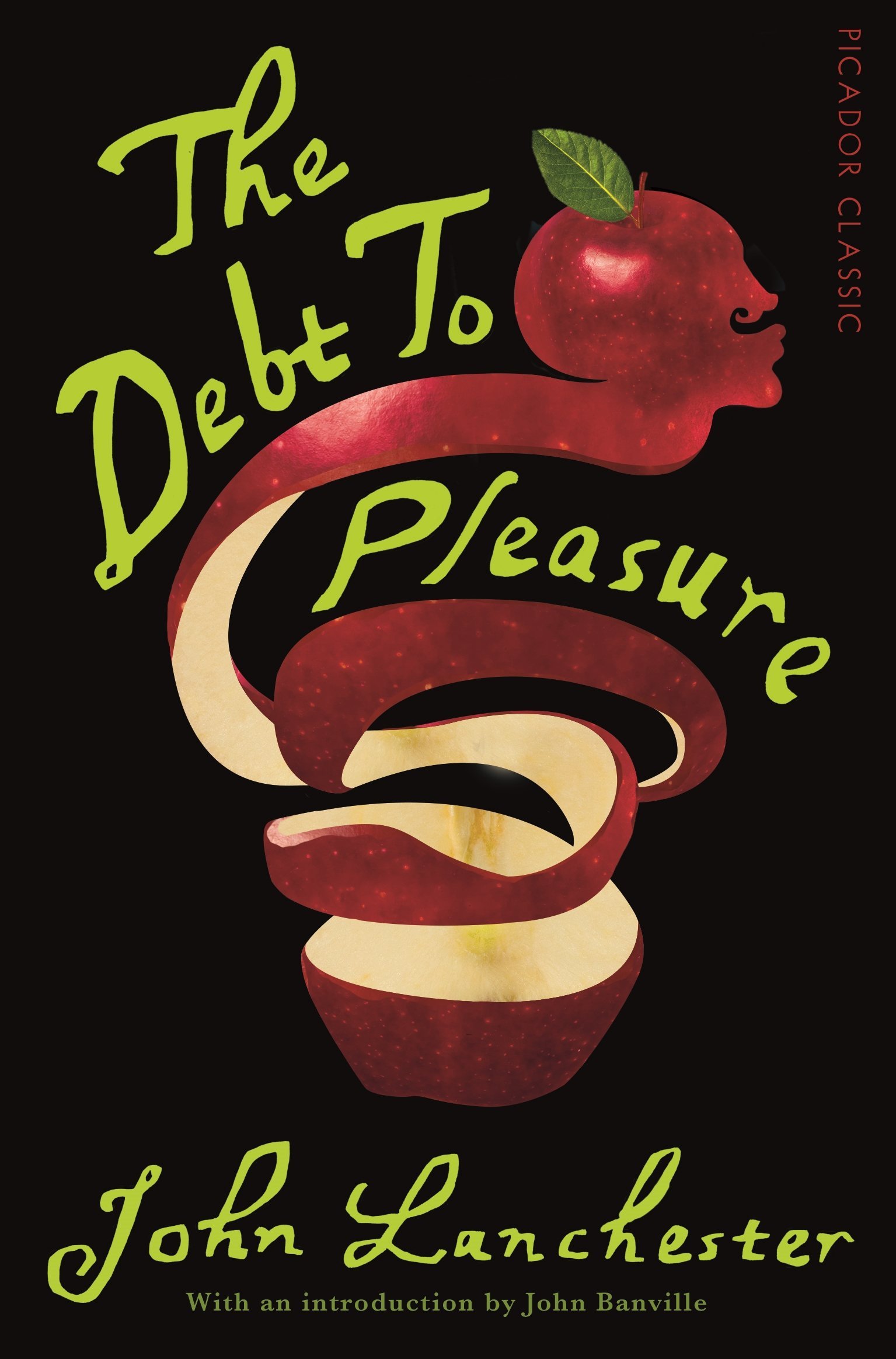 The Debt To Pleasure: Picador Classic by John Lanchester (1-Jan-2015) Paperback