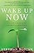 Wake Up Now - A Guide To The Journey Of Spiritual Awakening