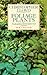 Foliage Plants: New and Revised Edition (Penguin gardening) by Christopher Lloyd (1988-05-03)