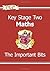 KS2 Maths Important Bits: The Important Bits (Study Books) by CGP Books (3-Apr-2013) Paperback