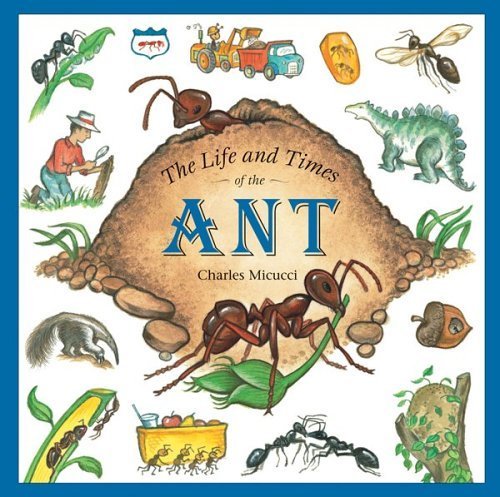 The Life and Times of the Ant by Micucci, Charles (2006) Paperback