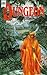 Das Tal des Donners (Das Dungeon #3)