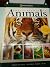 Encyclopedia of Animals by McGhee, Karen, McKay, George publi... by Karen McGhee