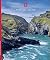 Tintagel Castle (English Heritage Red Guides)