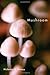 Mushroom by Nicholas P. Money (2011-11-21)