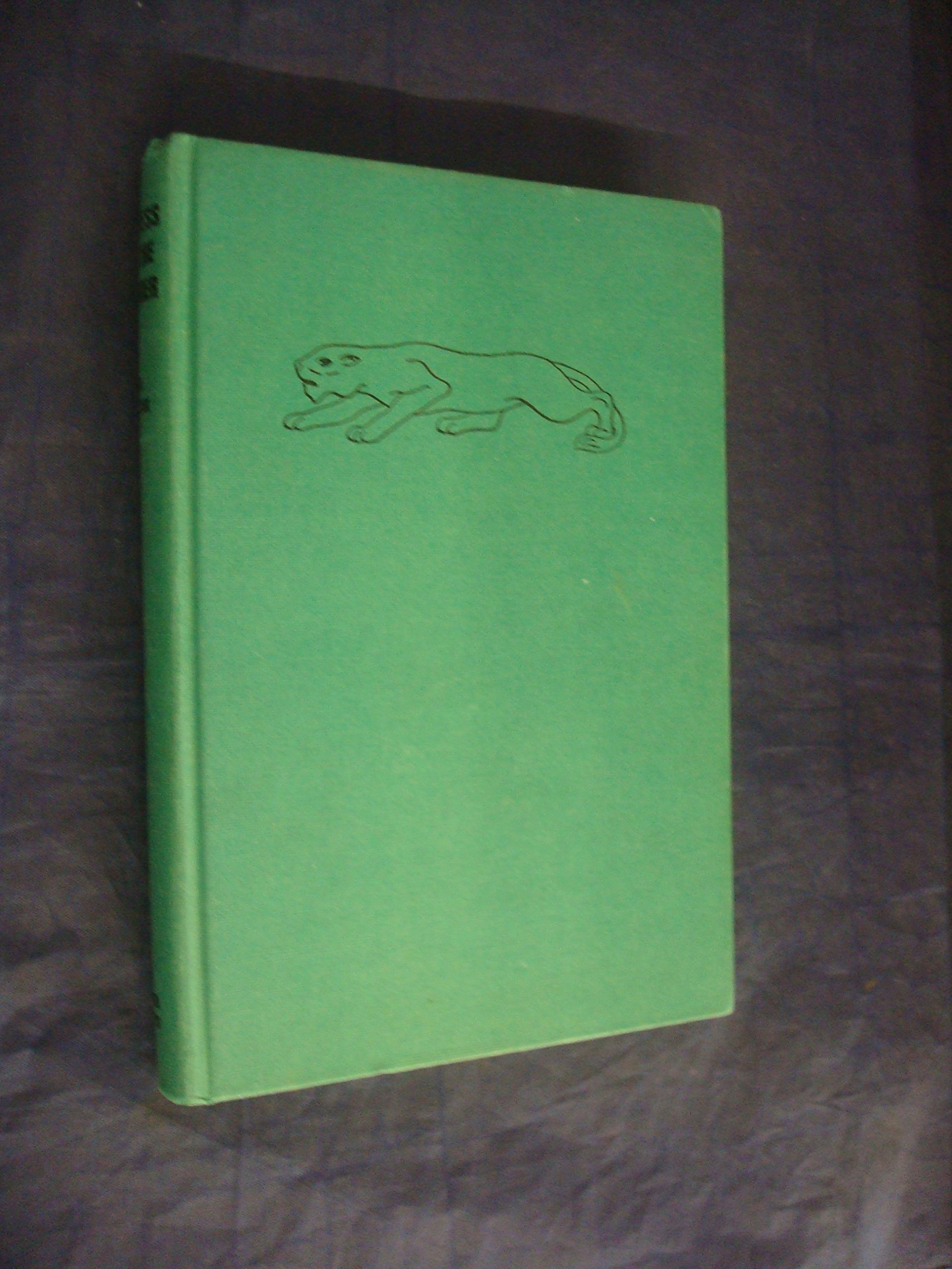 Lioness in the Larder (Hardcover)