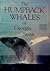 THE HUMPBACK WHALES OF GEORGIA STRAIT by Sharon Proctor