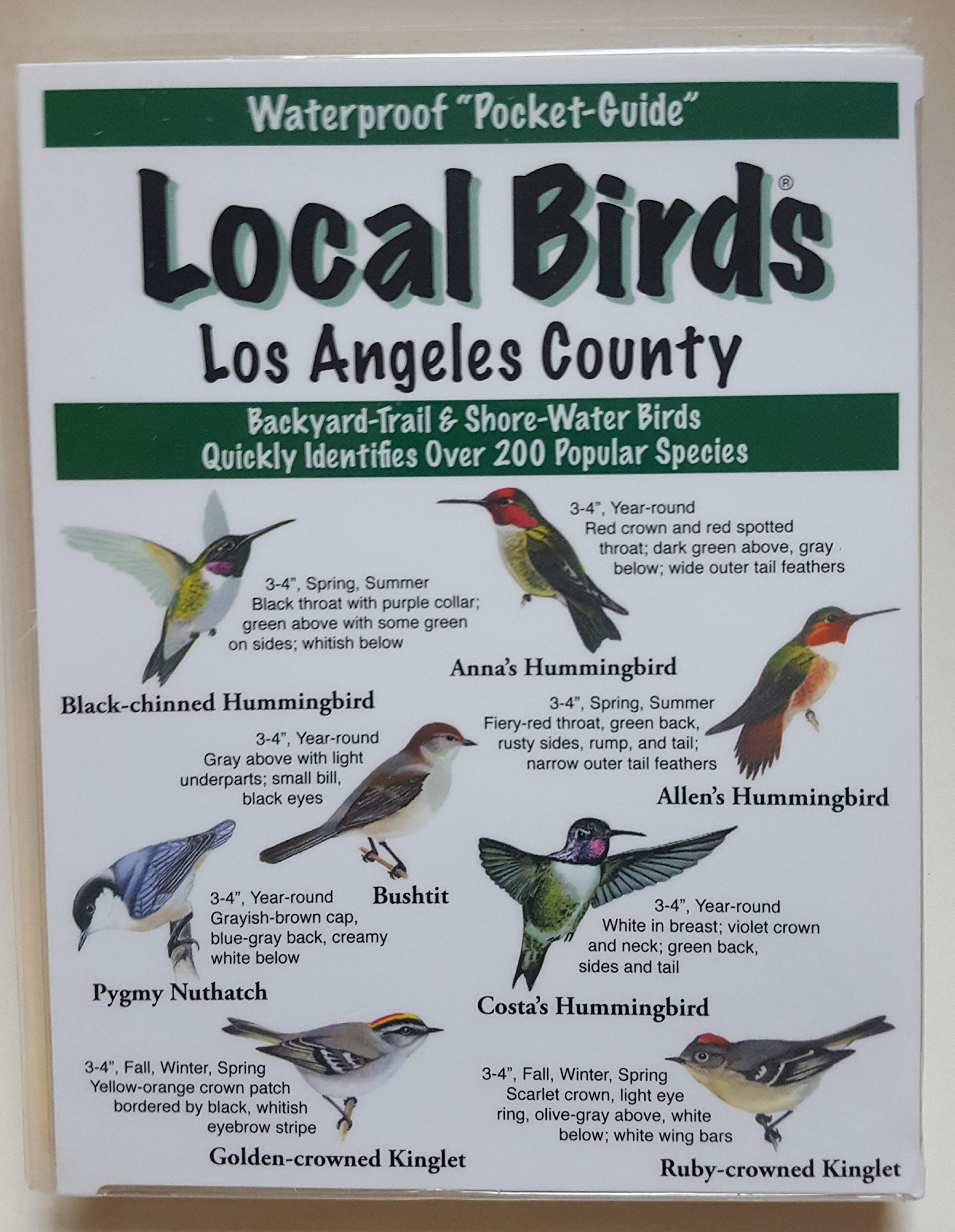 Local Birds of Los Angeles County (Paperback)