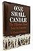 One Small Candle: The Pilgrims' First Year in America