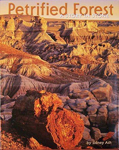 Petrified Forest-A Story In Stone (Paperback)