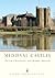 Medieval Castles (Shire Archaeology) by Creighton, O.H., High... by Oliver H. Creighton
