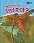 Why Am I an Insect? (Raintree Perspectives: Classifying Animals) by Greg Pyers (2005-09-01)