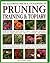 The Illustrated Practical Encyclopedia of Pruning, Training and Topiary by Richard Bird (2005-09-30)