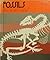 Fossils (First Book)