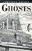 Saratoga County Ghosts by David J. Pitkin (1998-06-03)