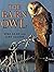 The Barn Owl