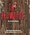 The Redwoods by Kramer Adams