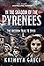 In the Shadow of the Pyrene...