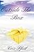 Outside The Box by Cris Pfeil (2011-04-12)