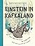 Einstein in Kafkaland: How ...