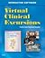 Virtual Clinical Excur Nurs...