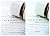 The Banerji Protocols: A New Method of Treatment with Homeopathic Medicines + The Banerji Protocols Notebook (2-in-1 Combo)