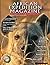 African Expedition Magazine...