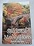 Spiritual Meditations by August Van-Ryn (1997-12-03)
