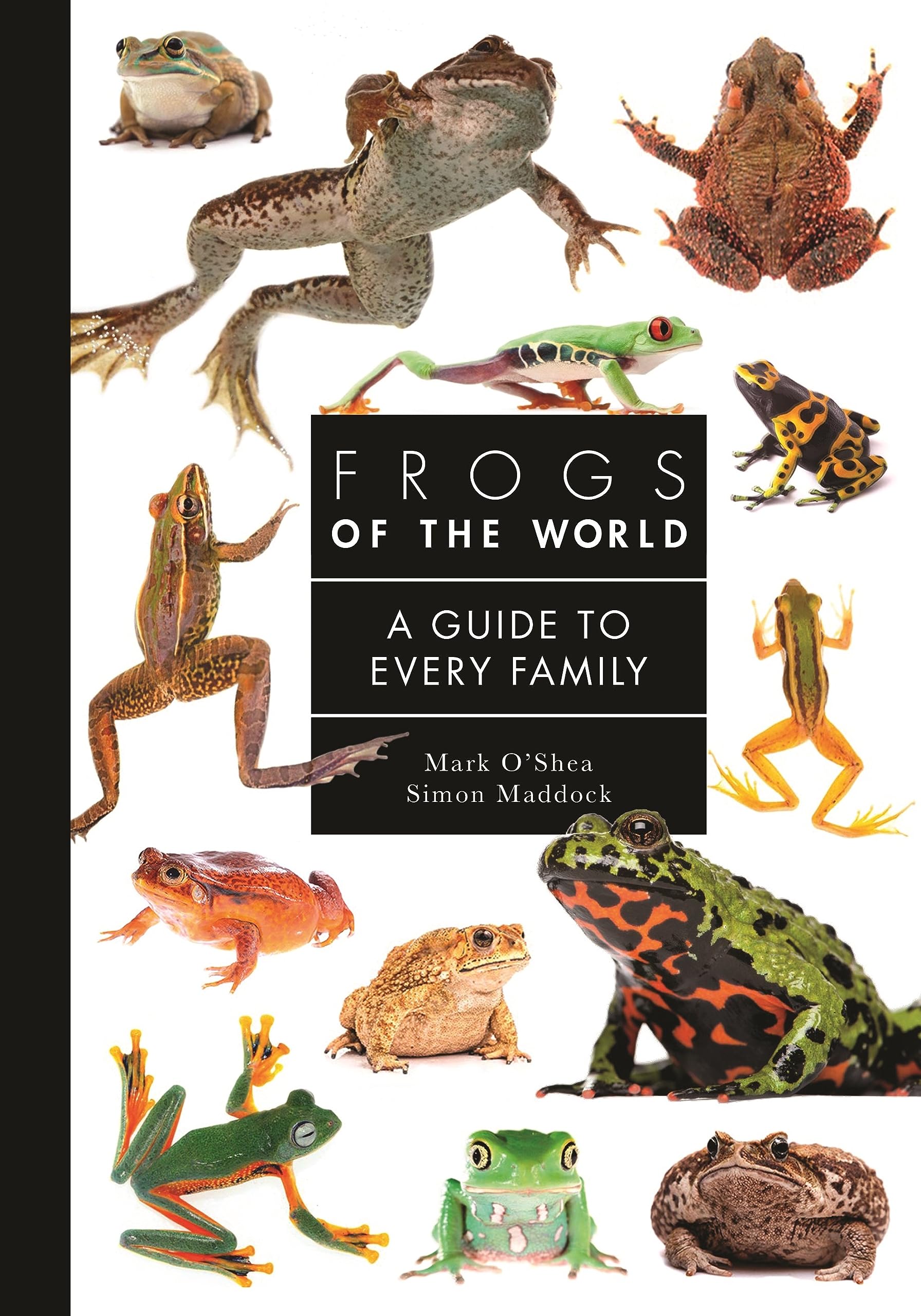 Frogs of the World: A Guide to Every Family (Hardcover)