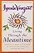 Living Through the Meantime: Learning to Break the Patterns of the Past and Begin the Healing Process by Vanzant, Iyanla (August 14, 2001) Hardcover