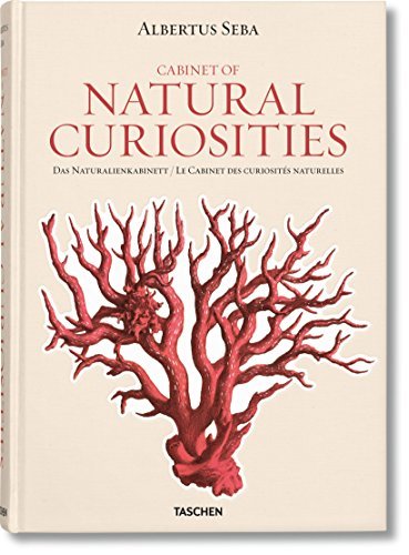 Albertus Seba. Cabinet of Natural Curiosities by Irmgard Musch (2008-11-24)