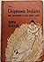 Chippewa Indians Rice Gatherers of the Great Lakes by Sonia Bleeker