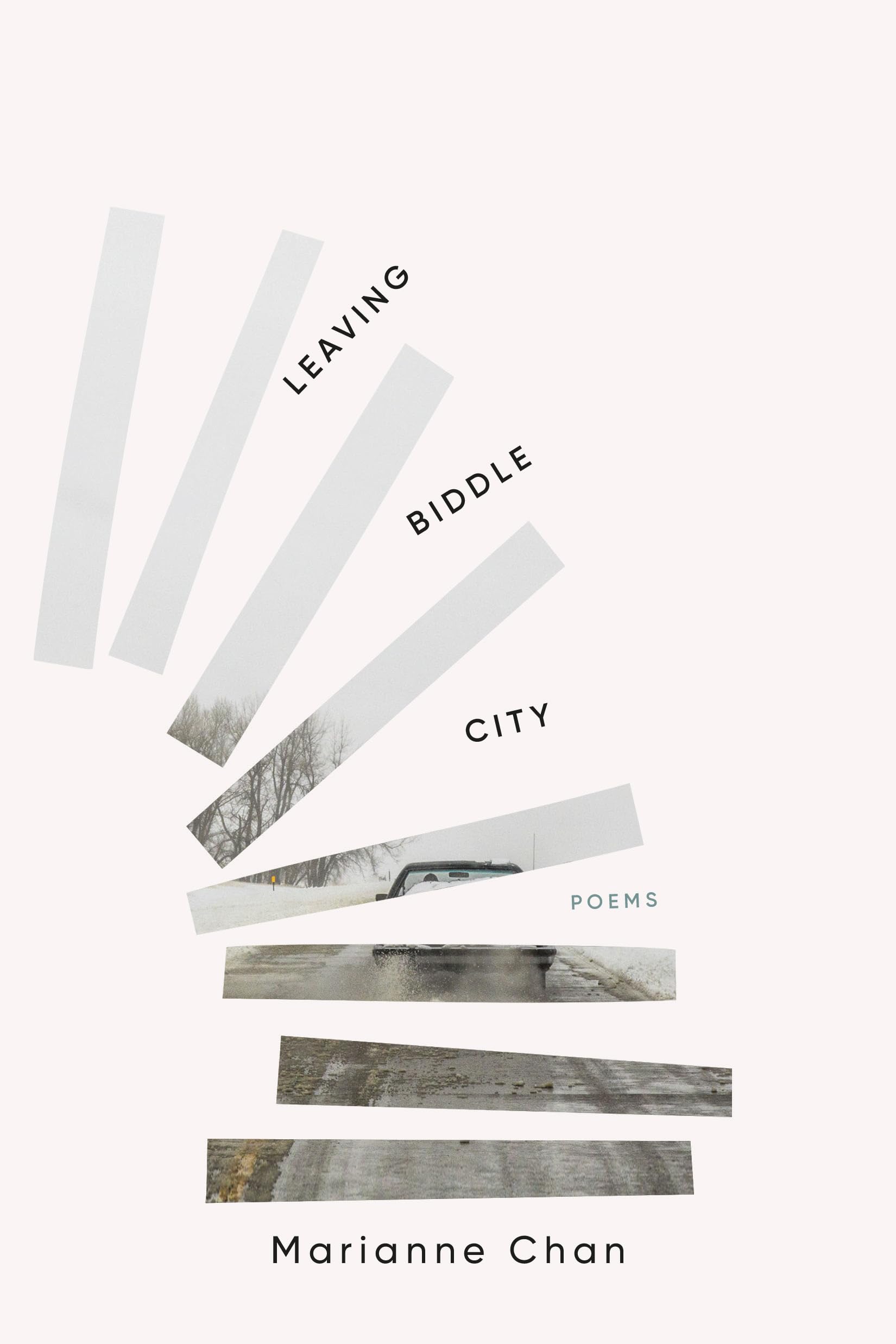 Leaving Biddle City (Kindle Edition)