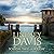 Scandal Takes a Holiday (Marcus Didius Falco, #16)
