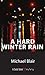 A Hard Winter Rain: A Joe Shoe Mystery by Michael Blair (2004-10-01)